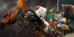 Tìm Hiểu Cách Chơi Đá Gà GA28 Tại 99OK Để Thắng Lớn Hiệu Quả